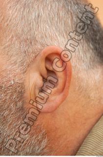 Ear texture of street references 445 0001